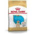 Фото #1 товара Фураж Royal Canin Щенок / Юниор 3 Kg