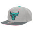 Фото #1 товара [6HSSJS19260-CBULTGY] MENS MITCHELL & NESS NBA CHICAGO BULLS WOLF MAGS SNAPBACK