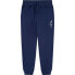 Фото #2 товара PEPE JEANS New Lamonty sweat pants