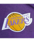 Фото #4 товара Men's Purple Los Angeles Lakers Hardwood Classics Team OG 2.0 Anorak Hoodie Half-Zip Windbreaker Jacket