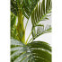 Deko Pflanze Palm Tree