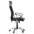 Home Office Chefsessel ARTON 20