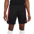 Фото #2 товара NIKE Liverpool FC Dri Fit Strike 22/23 Shorts