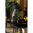 Decorative Plant DKD Home Decor PVC polypropylene 25 x 25 x 30 cm