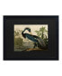 Фото #1 товара John James Audubon Louisiana Heron Matted Framed Art - 15" x 20"