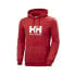 Фото #1 товара Helly Hansen Logo Hoodie M