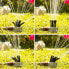 Фото #28 товара Спринклерный ороситель на 360º для сада Klerdden InnovaGoods 36 форсунок