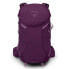 OSPREY Sportlite 25L backpack