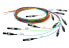 Фото #1 товара Telegärtner Karl Gärtner Faserpig.Set OS2 9/125 SC 12 Farben L00889W0056 - Cable/adapter set - Monomode fiber