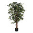 Kunstpflanze Ficus