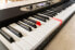 Фото #10 товара Casio LK-S450 Casiotone Top Illuminated Keyboard with 61 Velocity-Dynamic Keys in Piano Look with 600 Sounds and 200 Accompaniment Rhythms & Amazon Basics AA Alkaline Batteries
