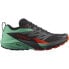 Фото #1 товара SALOMON Sense Ride 5 trail running shoes