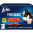 Фото #1 товара PURINA Felix Fantastic Meat Feast 85g Cat Snack 12 Units