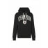 Champion Rochester Hooded Sweatshirt M 219830.KK001