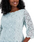 Plus Size Sequined Lace A-Line Dress