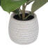 Фото #2 товара Декоративное растение Зеленый PVC Дуб 58 cm
