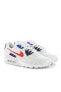 Фото #5 товара Кроссовки Nike Max 90 Euro Tour 2020 - Cz8650-100