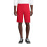 Фото #9 товара Men's School Uniform Mesh Gym Shorts