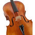 Hidersine Vivente Academy Cello Set 4/4