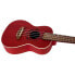 Flight DUC 380 Coral Concert Ukulele