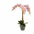 Фото #2 товара Декоративное растение Орхидея Пластик 29 x 78 x 35 cm (2 штук)