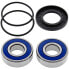 All BALLS 25-1129 Wheel Bearing Kit - фото #2