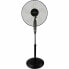Freestanding Fan Grunkel FAN-165R 50 W Black