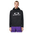 Фото #2 товара OAKLEY APPAREL Sierra DWR Fleece 2.0 hoodie