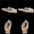 Фото #5 товара Секс игрушки LOVETOY Комплект тазовых шариков Oceans Toner из 2 шт.