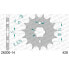 AFAM 26200 Front Sprocket Серебристый, 13t - фото #1