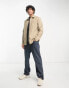 Фото #8 товара Dickies wilsonville cord shirt in beige