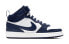Nike Court Borough Mid 2 CD7782-107 Sneakers