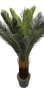 Kunstpflanze Cycas RE7043