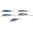 AKAMI Real Floating minnow 14g 100 mm