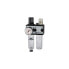 Фото #1 товара Riegler Wartungseinheit MULTIFIX Gewinde G 1/4" halbautomatisch BG I 2-tlg. 1100 l/min Breite 92,8 mm