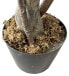 Kunstpflanze Ficus RE7036