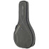 Фото #5 товара Ritter RGS3 Mandola SGL