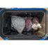 Фото #6 товара PRESTON INNOVATIONS Hardcase Cooler Bag