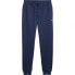 TOMMY JEANS Slim sweat pants