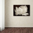 Фото #2 товара Cora Niele 'White Tulip III' Canvas Art, 30" x 47"