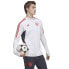 Фото #4 товара Sweatshirt adidas FC Bayern Training Top M HB0620