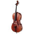 Фото #1 товара Walter Mahr Cello Stradivari Spruce 4/4