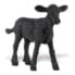 Фото #2 товара SAFARI LTD Angus Calf Figure