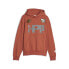 Фото #1 товара Puma Graphic Hoodie X Pam Mens Orange Casual Outerwear 62267741