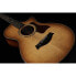 Taylor 512ce 12-Fret Urban Ironbark