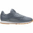 Повседневная обувь мужская Reebok Classic Leather PG Asteroid Серый