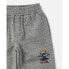 Фото #3 товара RIP CURL Icons Of Shred Sweat Pants