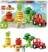 LEGO 10982 DUPLO My First Fruit and Vegetable Tractor, Sorting and Stacking Toy for Babies and Toddlers Aged 1 and 10981 DUPLO My First Growing Carrot