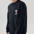 MLB x Disney Trendy_Clothing 31MTK1011-50L Sweatshirt