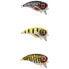 Фото #2 товара SPRO Fat Iris crankbait 10g 50 mm